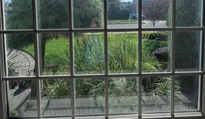 Before and after window washing