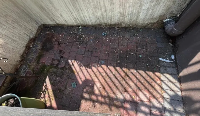 Before and after walkway and steps cleaning