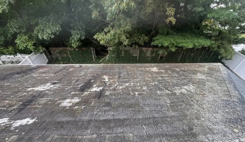 Before and after roof wash
